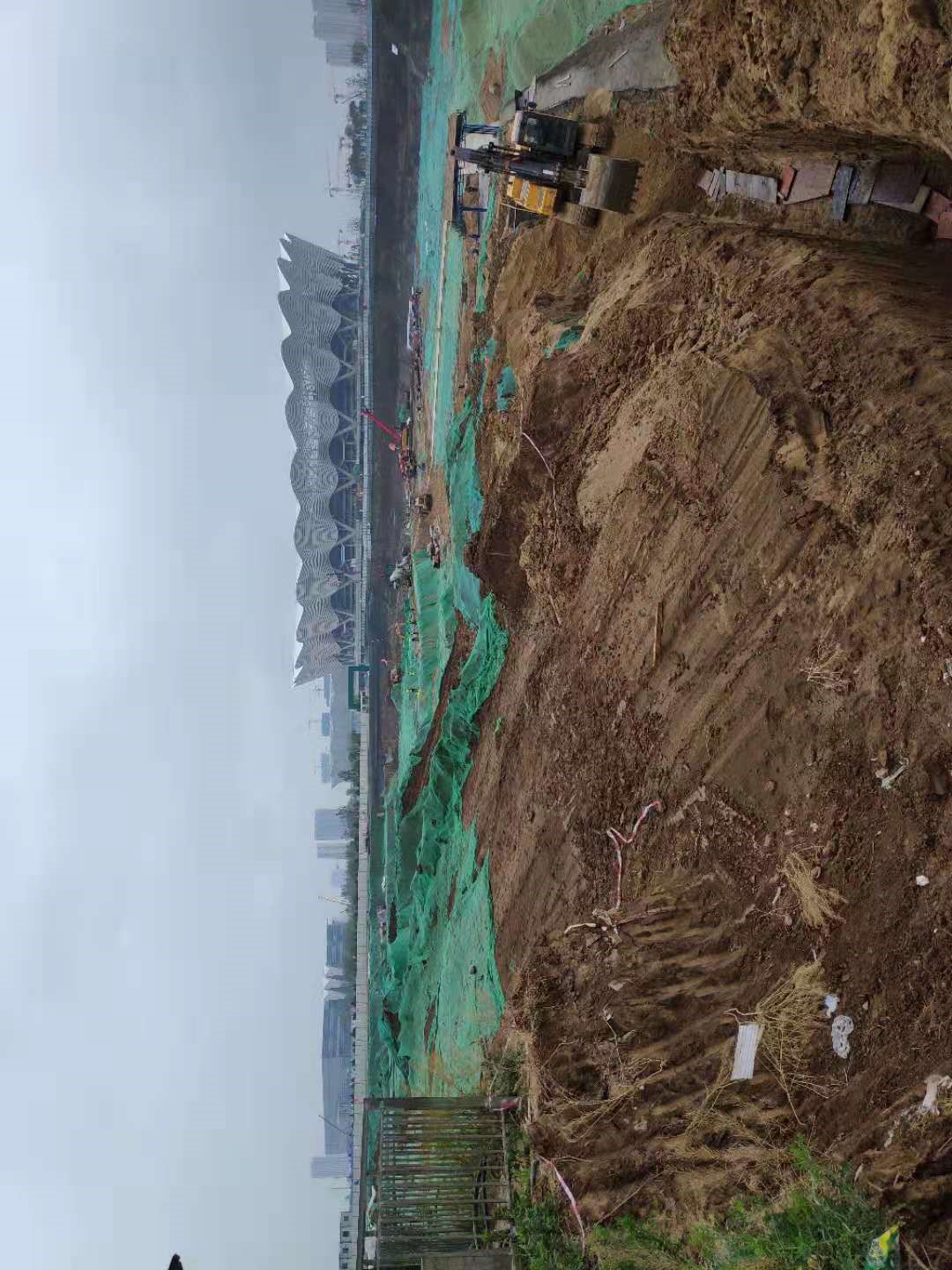 這個村，我們“熟”！