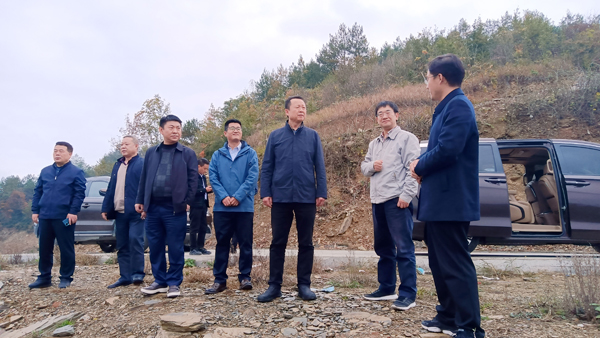 陜西科技控股集團有限責任公司黨委副書記、總經理周吉峰一行赴紫陽縣蒿坪鎮調研鄉村振興示范鎮建設工作并看望慰問掛職干部