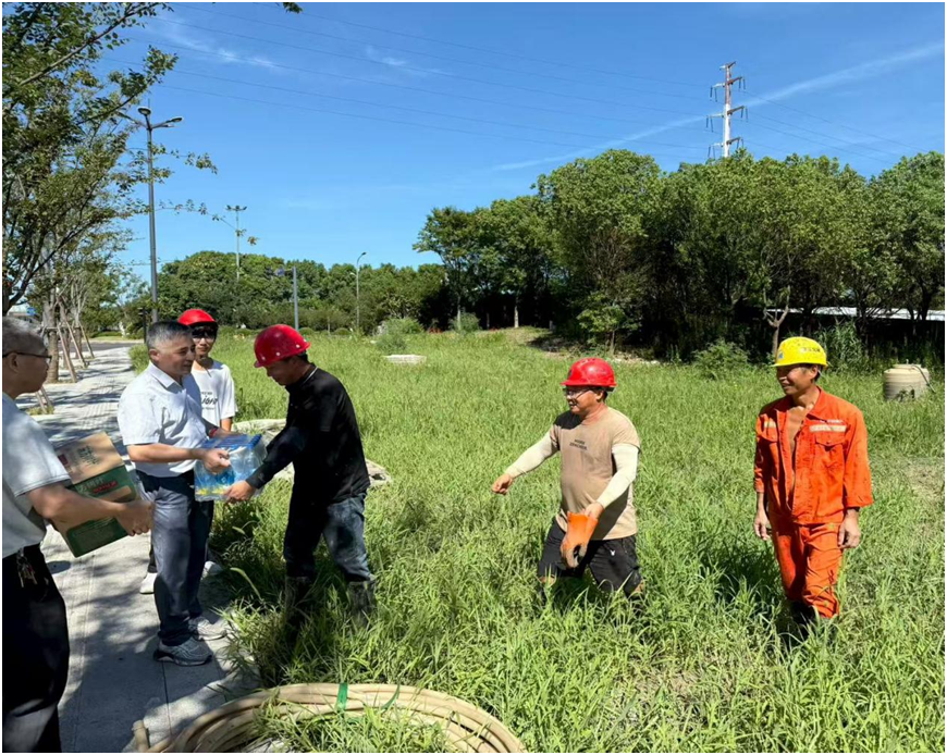 生產建設忙 暑熱送清涼